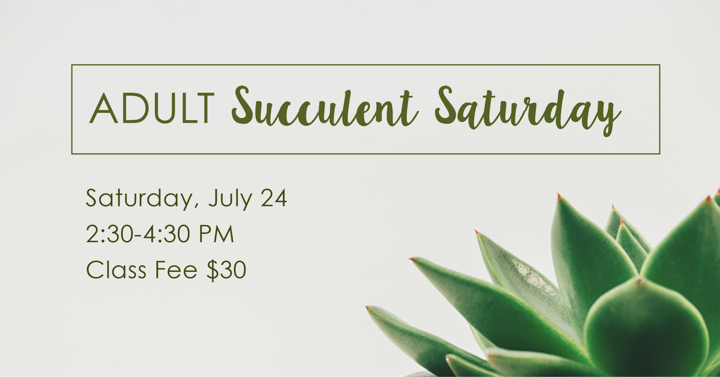 CitySeed_June&July_Adult Succulent Event Banner.png