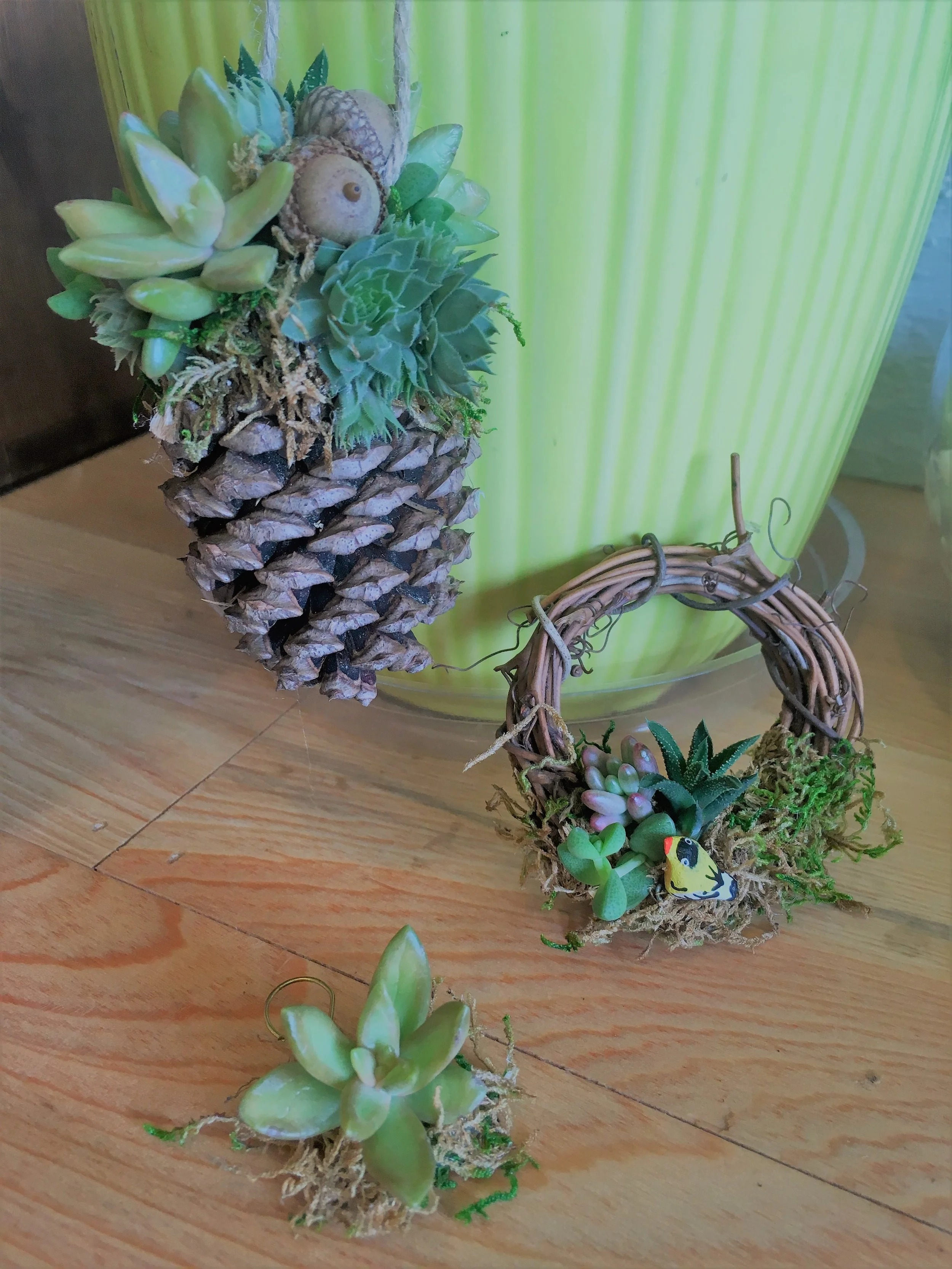 Succulent Ornaments Make n' Take - December 2nd 6:30 - 8:30