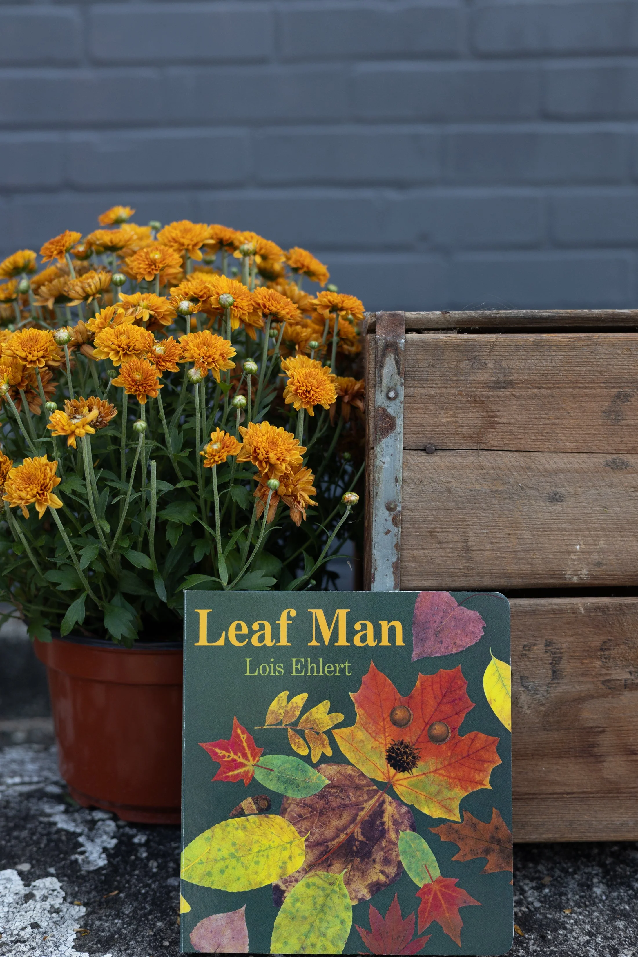 October Storytime-leaf man.jpg