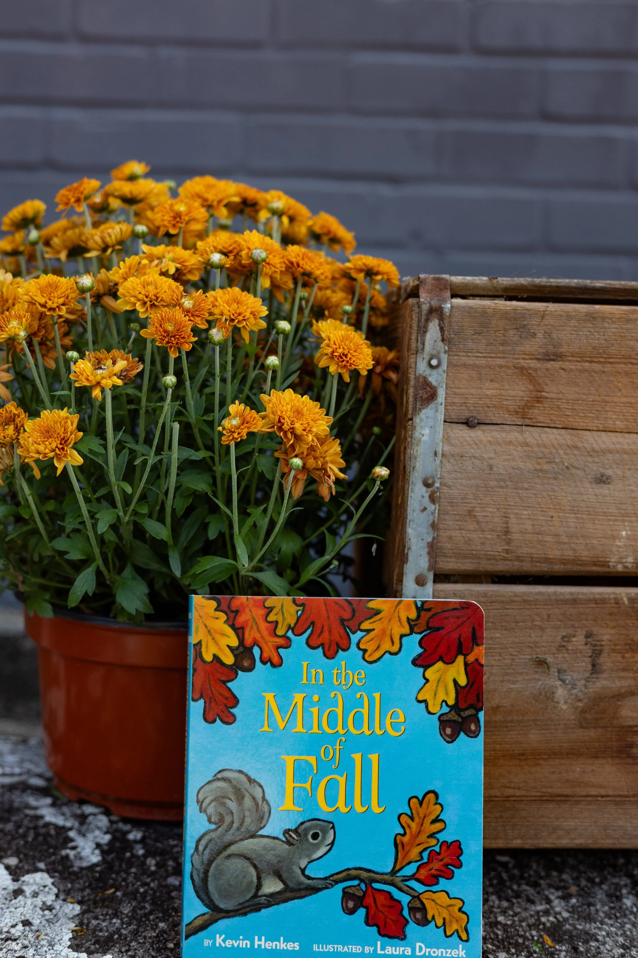 October Storytime fall henke.jpg