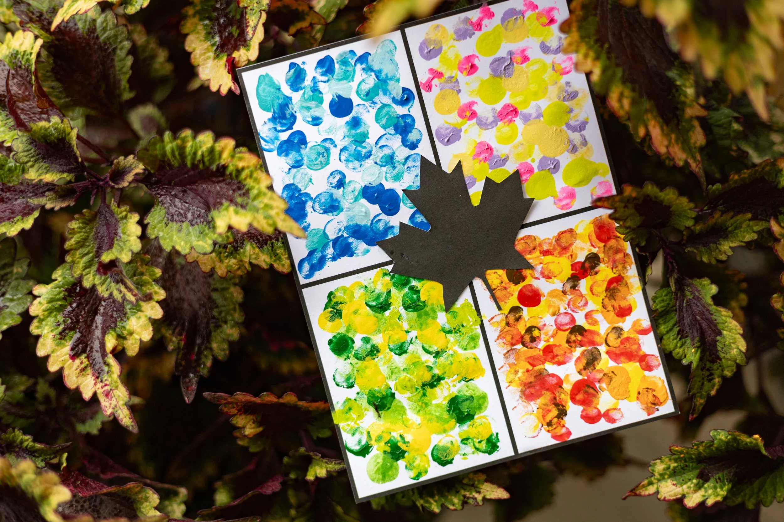 Storytime + Create: Seasons Board · City Seed at the Station