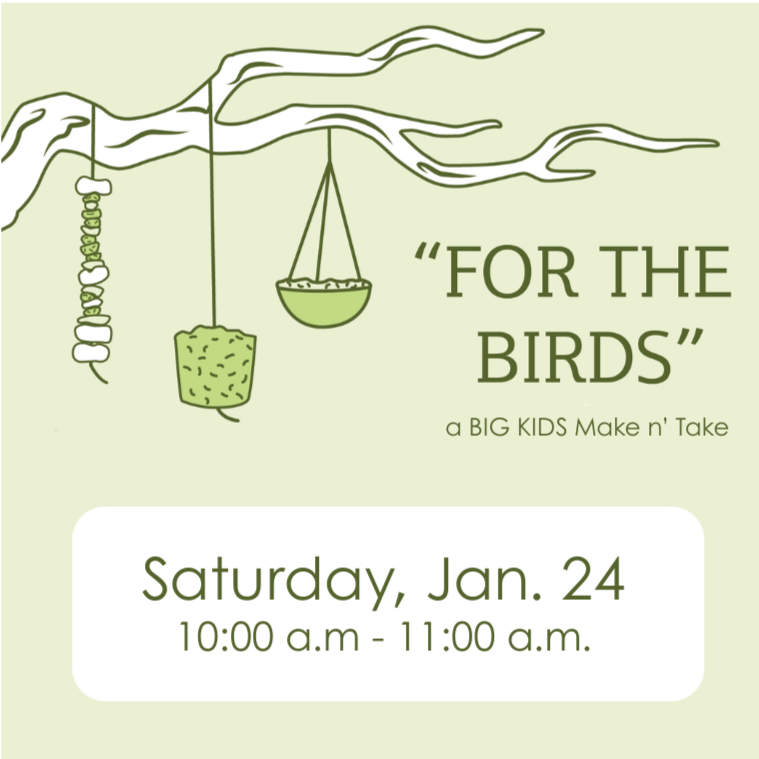 For the Birds: BIG KIDS Make ’n Take | Jan. 24, 2026