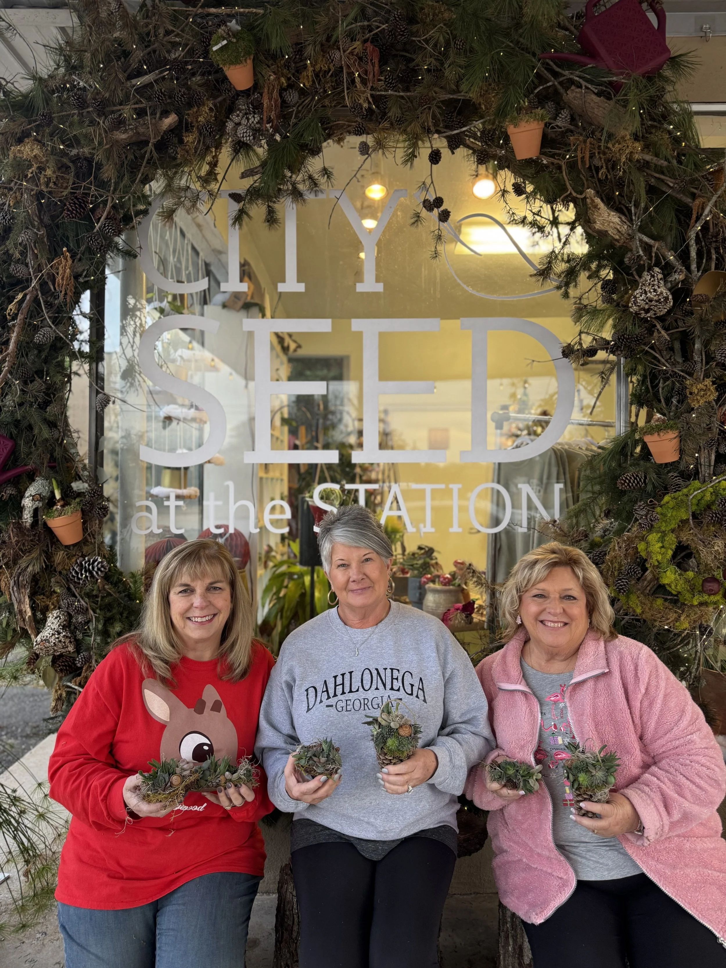 Succulent Ornaments Make n’ Take | Mon., Dec. 7 | 12–2 PM