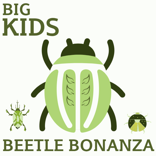 Big Kids: Beetle Bonanza | Tuesday, July 14 | 9:00–11:00 AM
