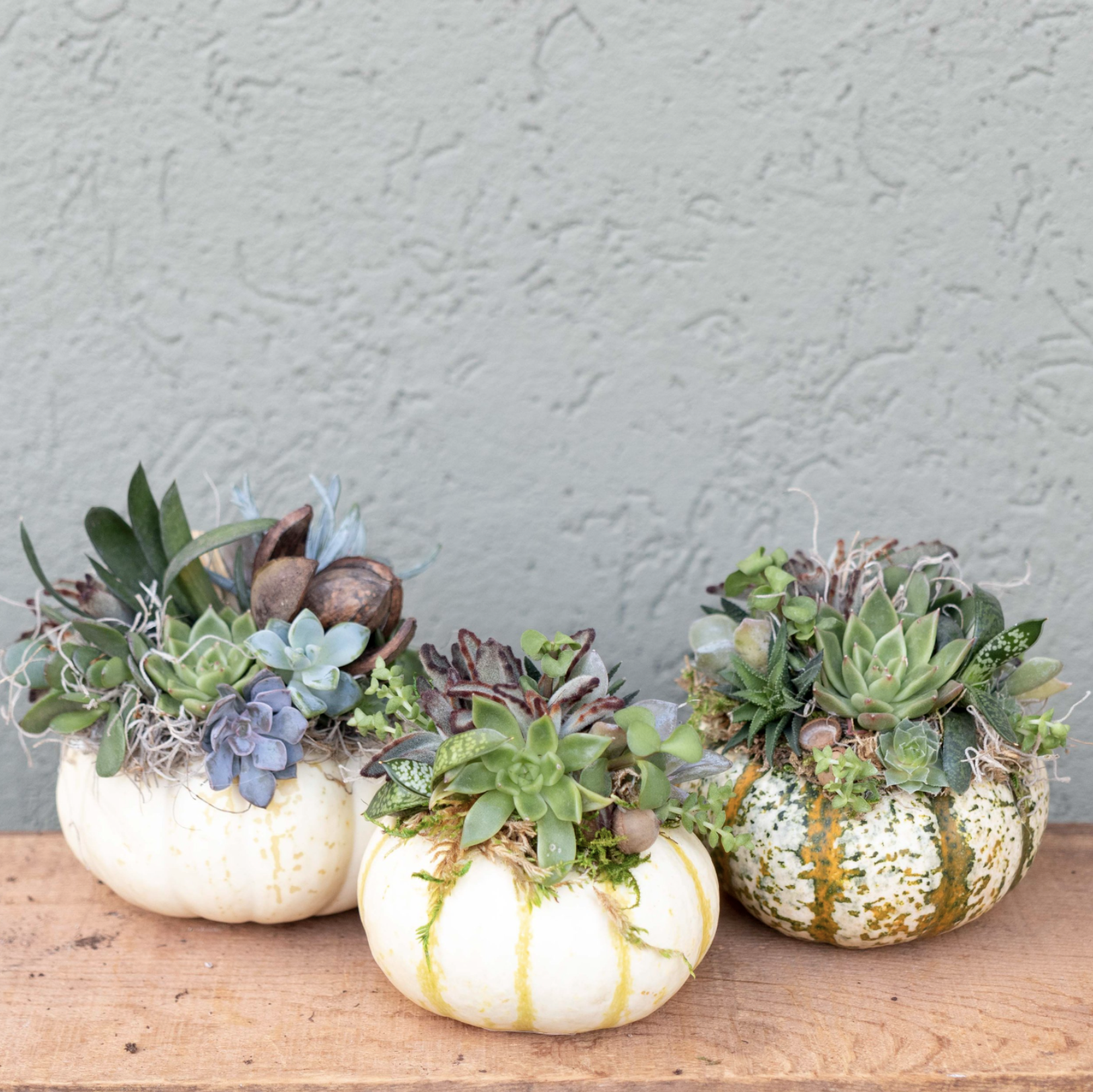 Screenshot 2025-09-12 at 2.33.15 PM.png