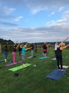 Vino &amp; Vinyasa in the Vineyard 