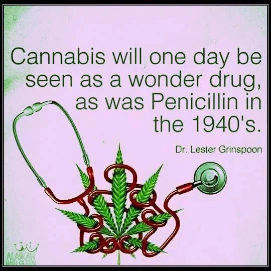 cannibus.jpg