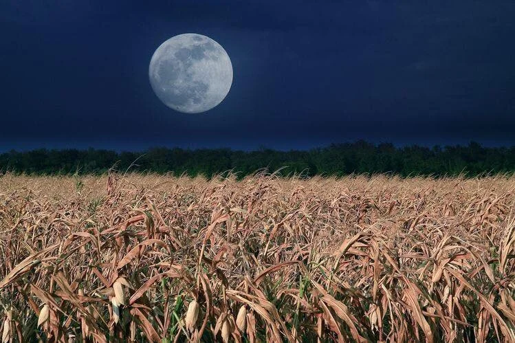 Full moon flow &amp; Yin