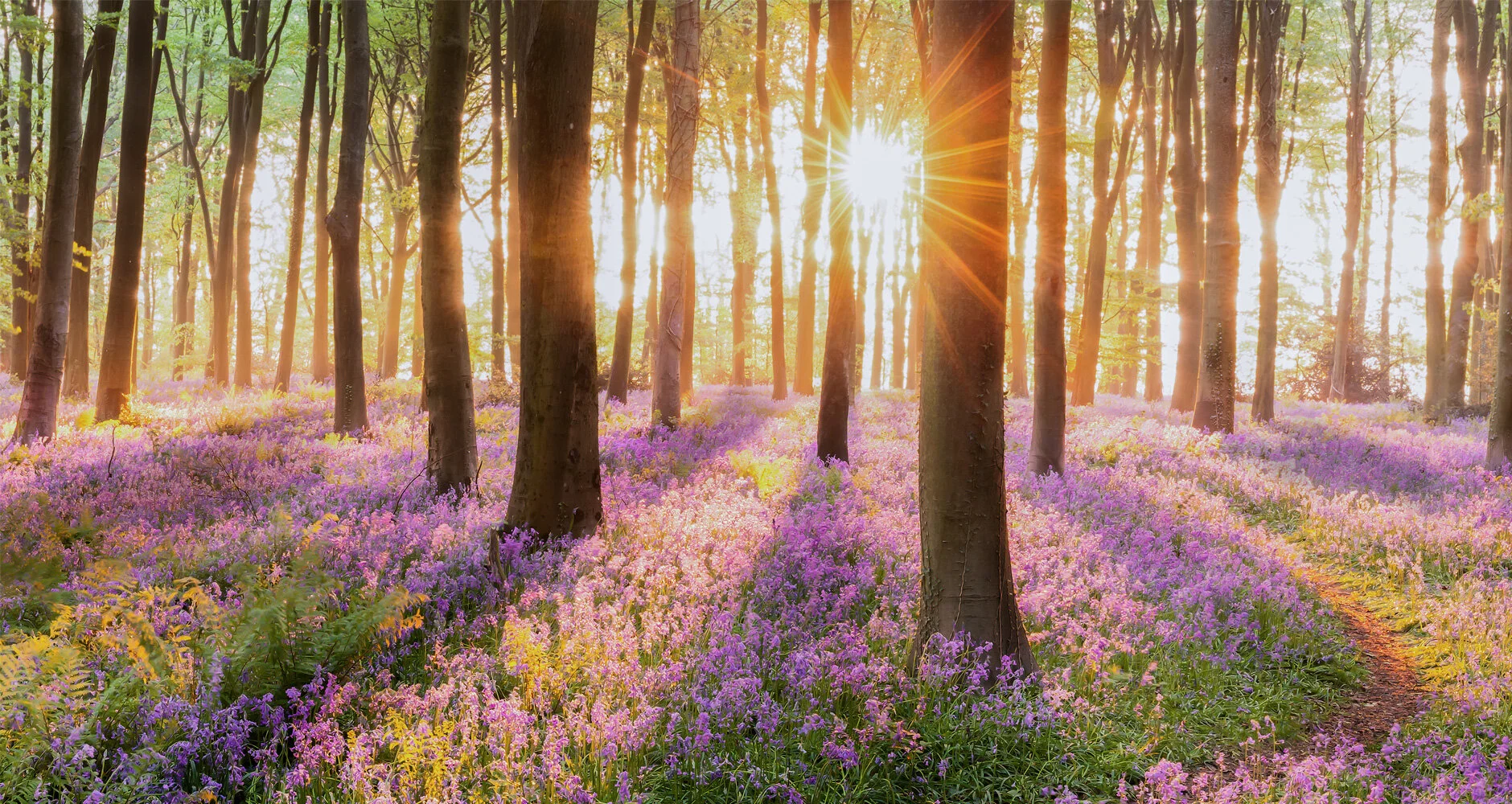 Spring Solstice Flow &amp; Yin