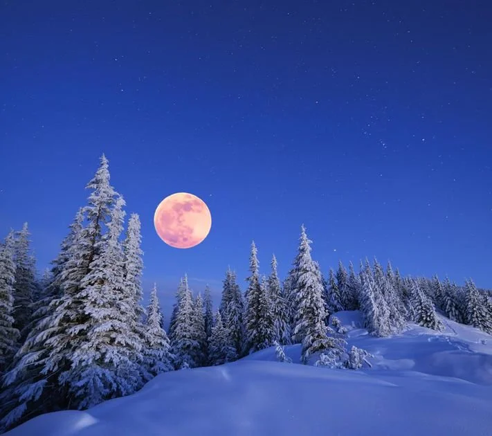 Full Moon Flow &amp; Yin  
