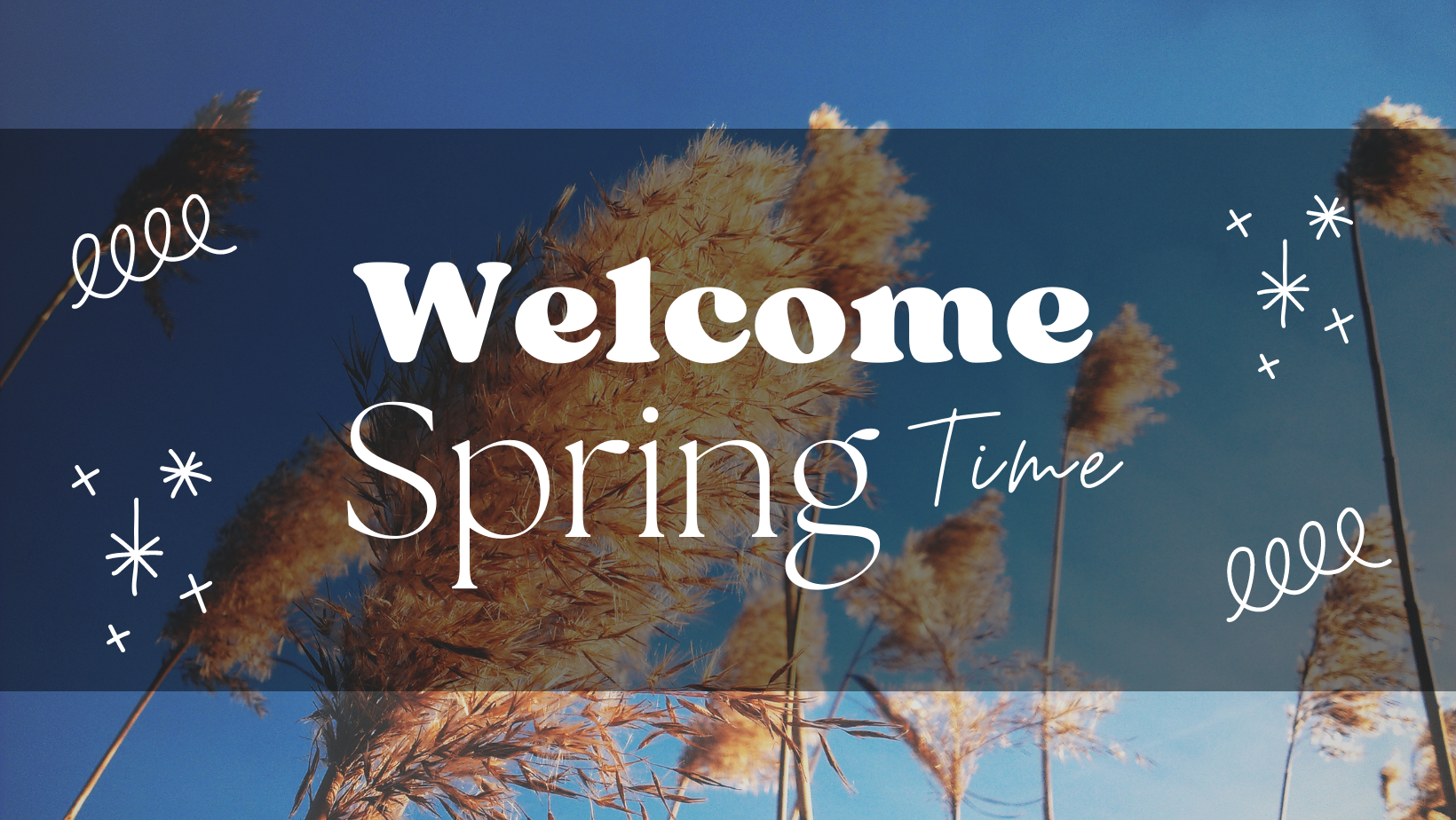 March Full Moon/Spring Solstice Yin