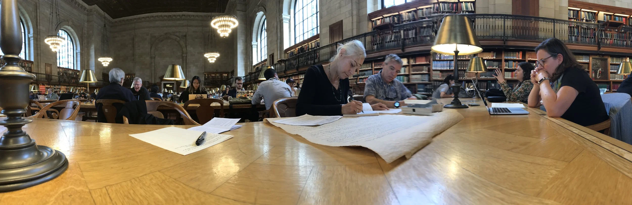 HTC_NYPL_BibiSummer_Wide_3.JPG