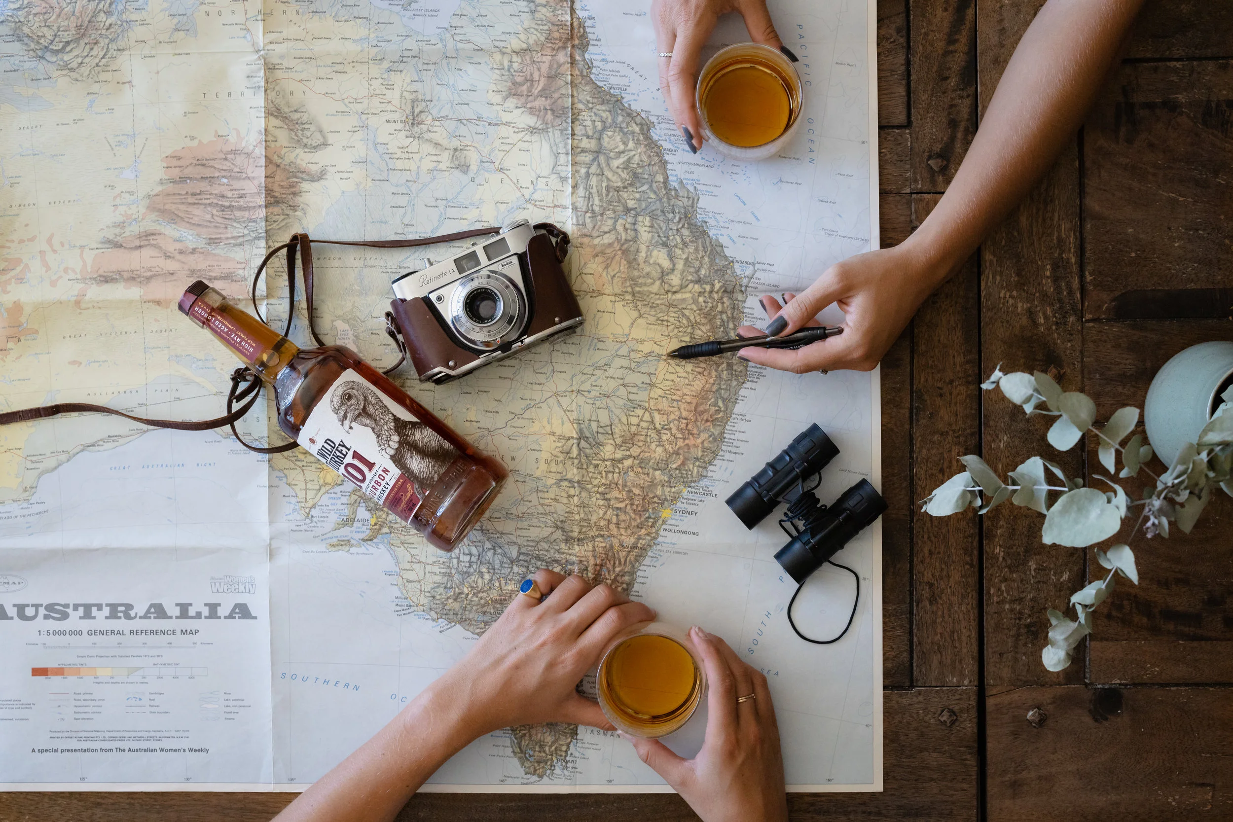 MATT-CHERUBINO2019Wild Turkey1462.jpg