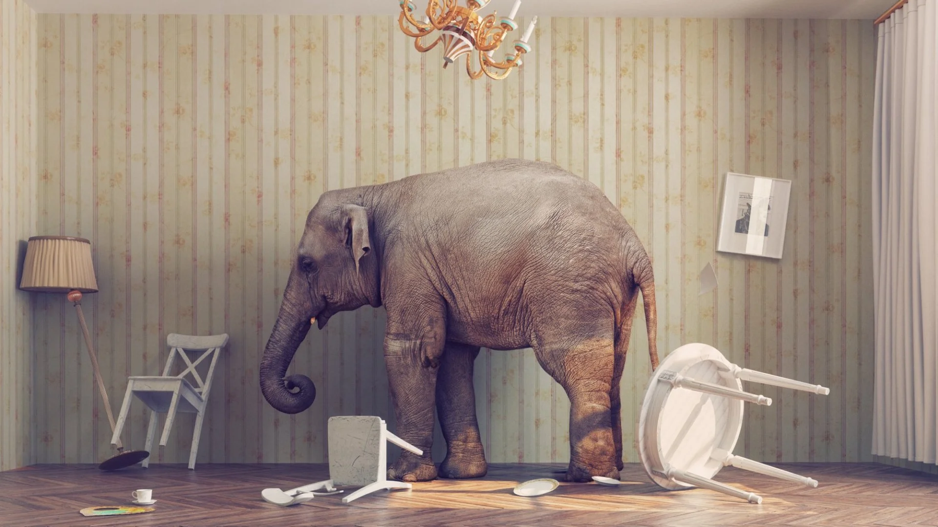 The Elephant is Black: Racism is the Root Cause of the Public's Poor Health