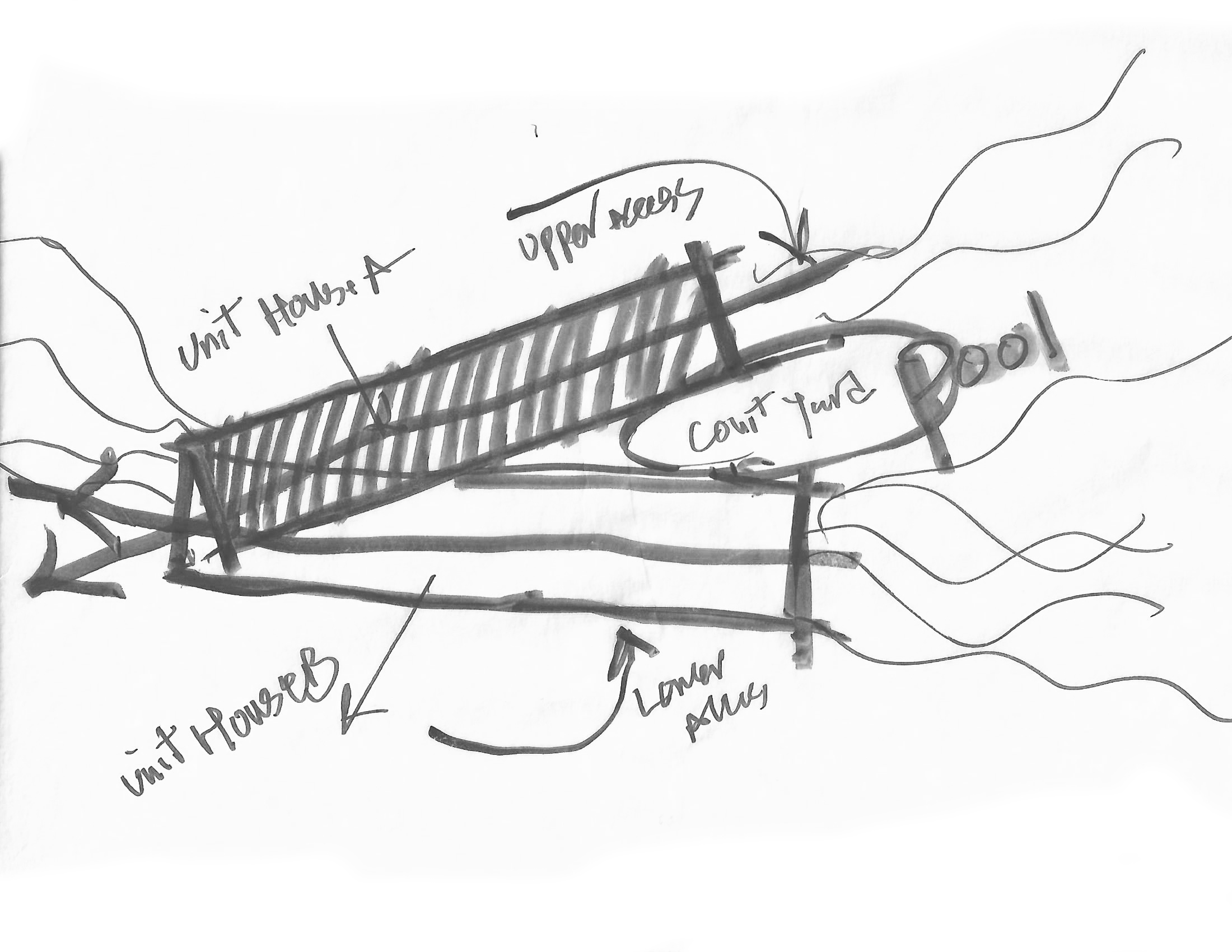 sketch.jpg
