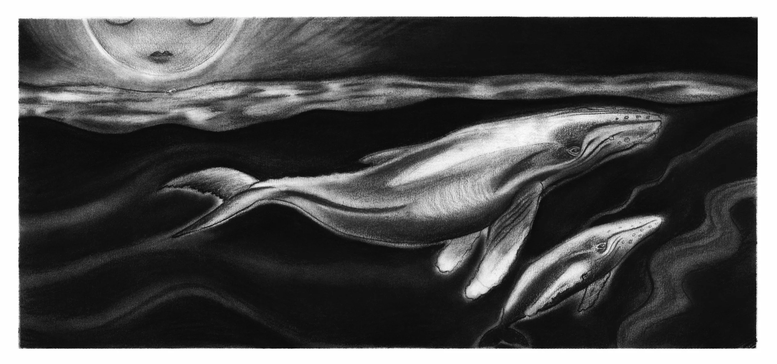 Whales sing
