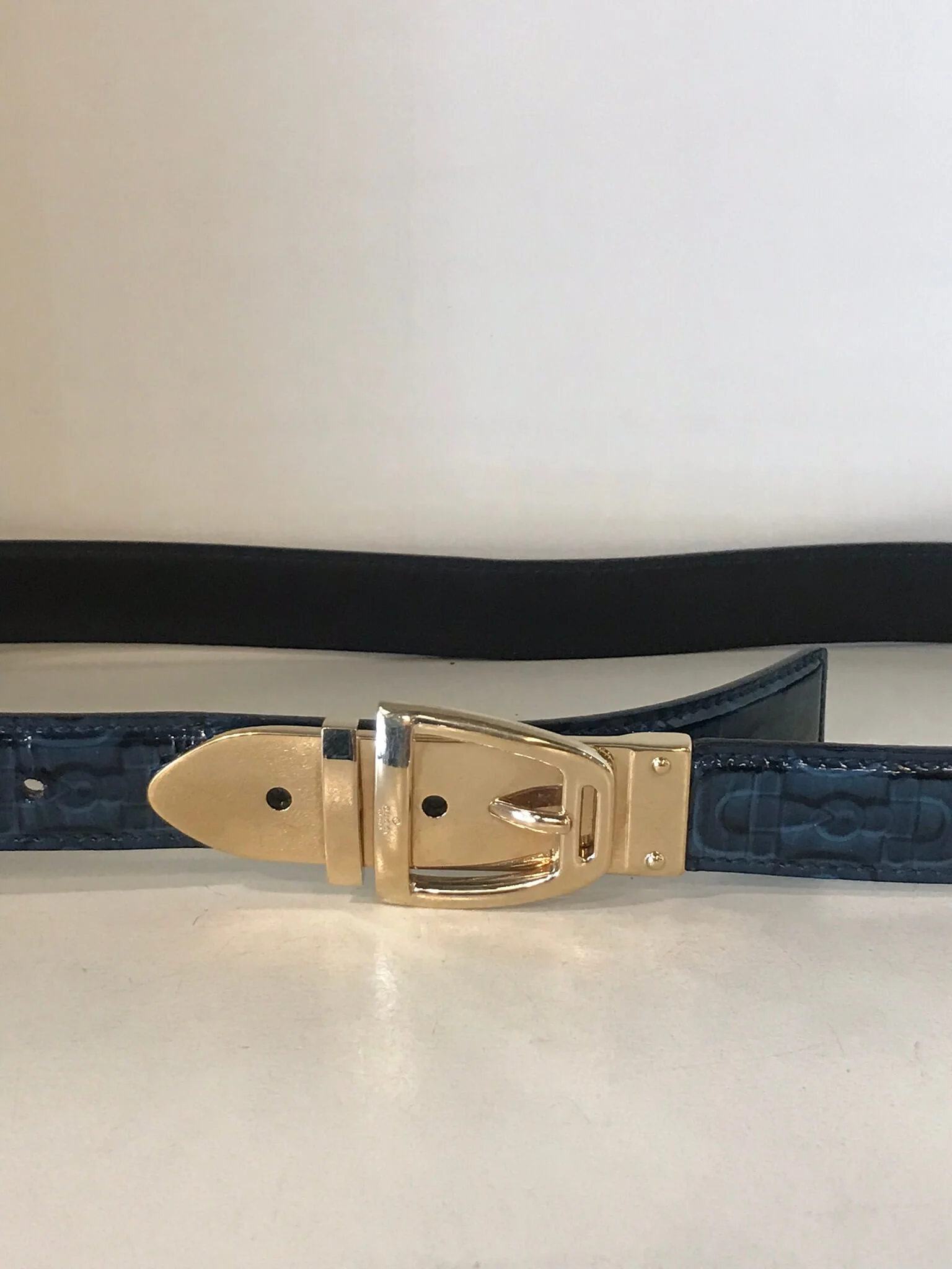1059-254 buckle TP.jpg