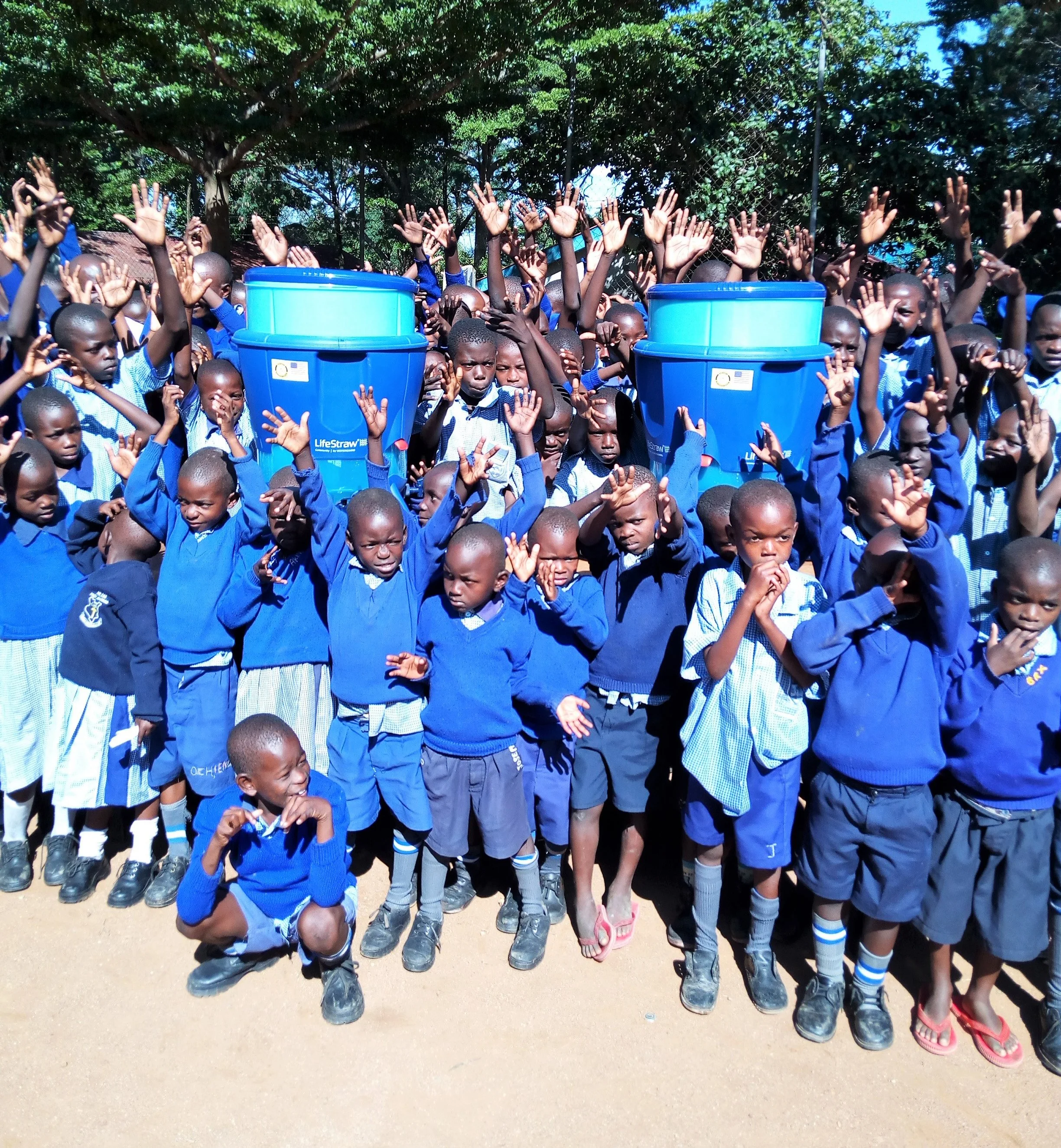 Primary 2.jpg