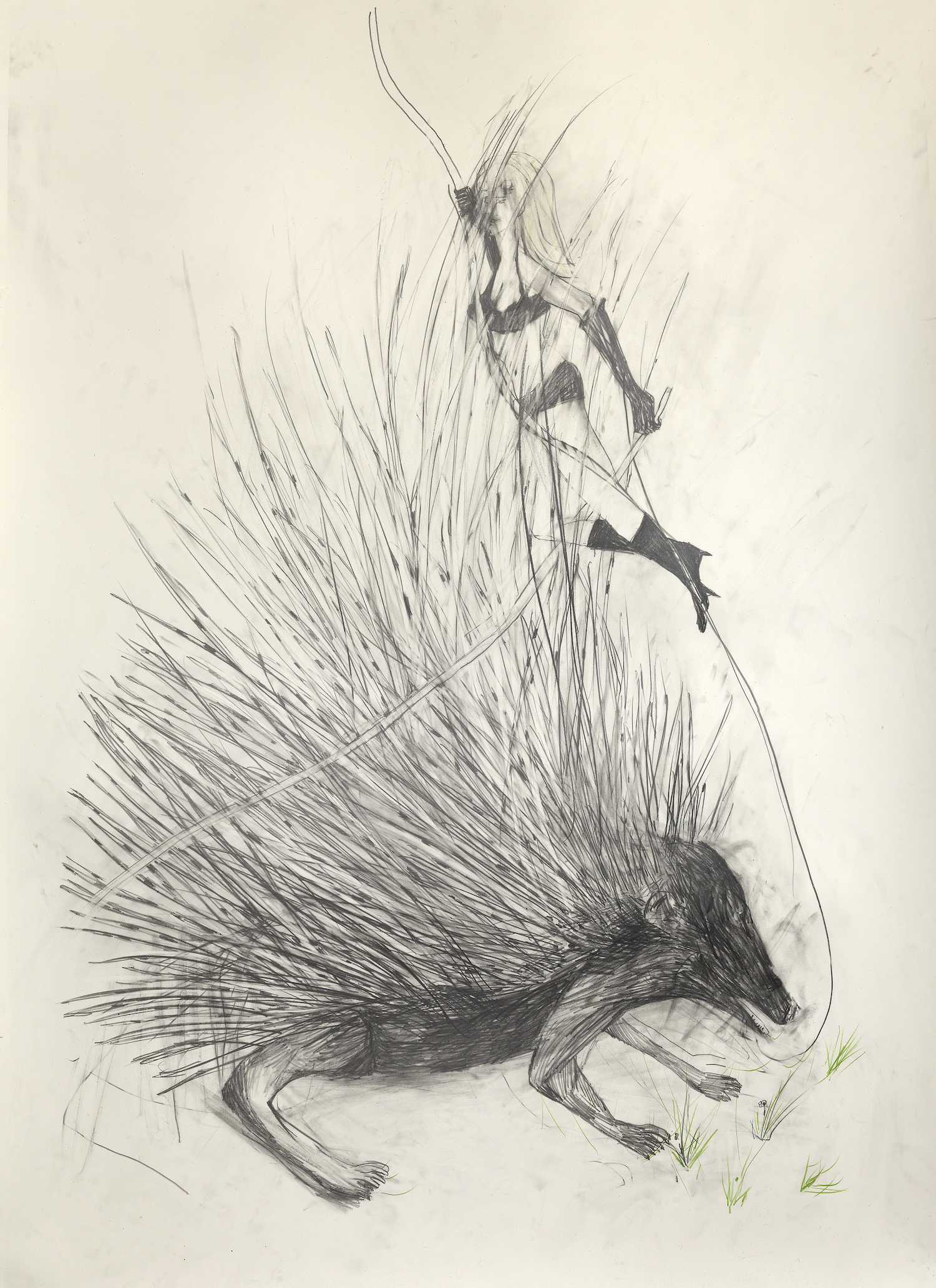 Lady and Porcupine