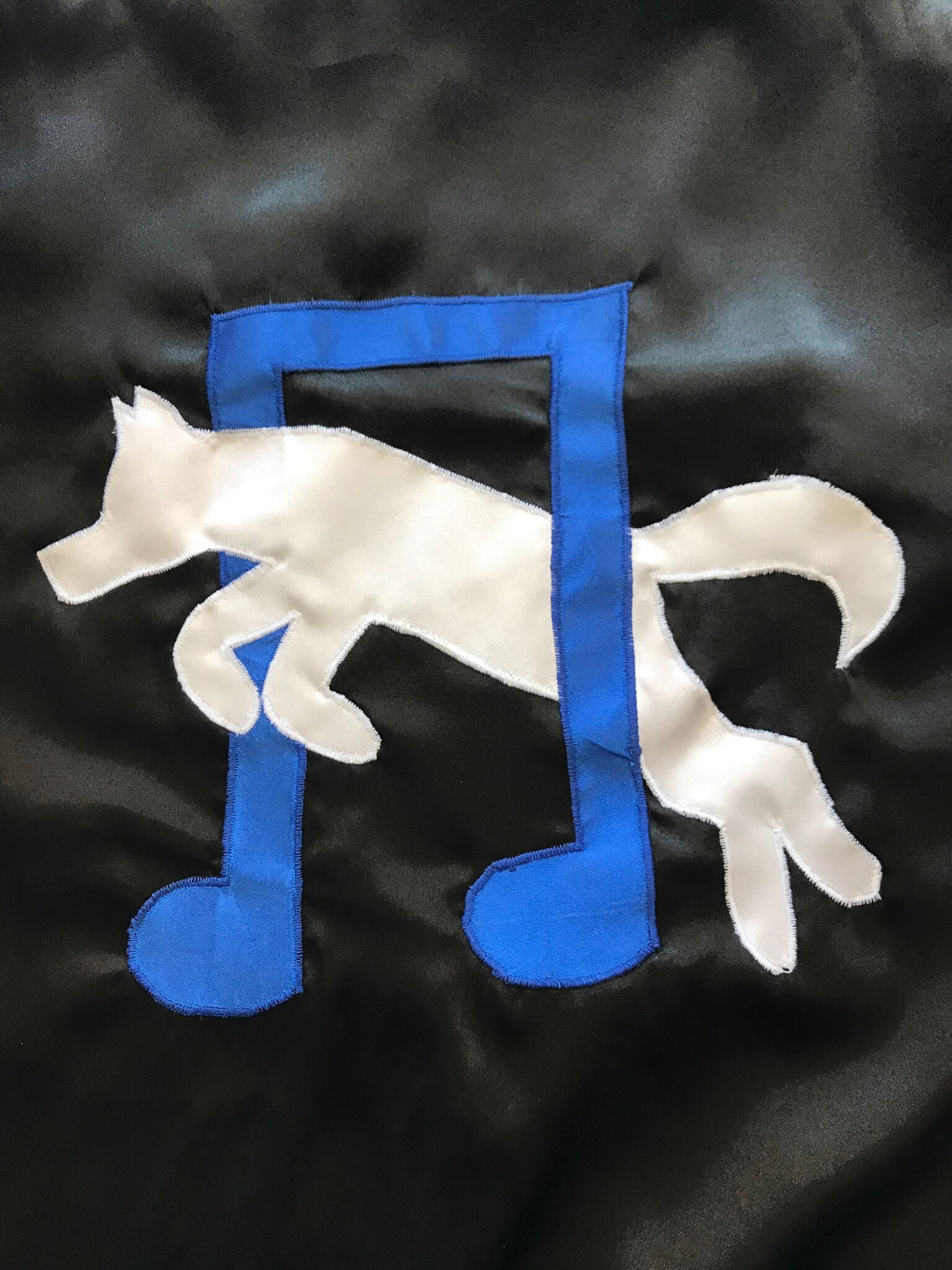 Dog Cape