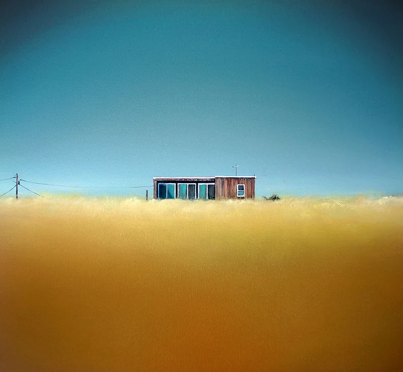 "Lonelyville" & "Dune House" by Amanda Kavanagh
