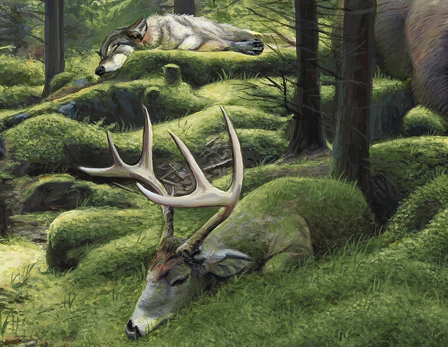 woods_c.jpg