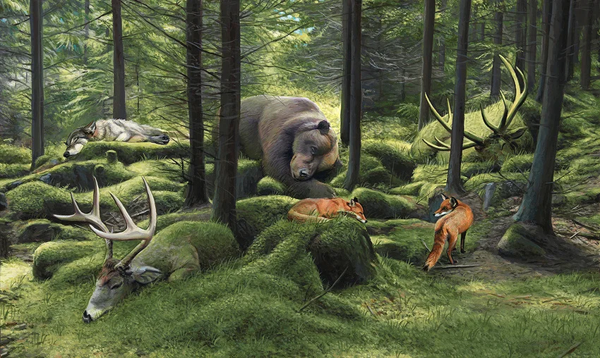 The Sleeping Woods by Josh Keyes
