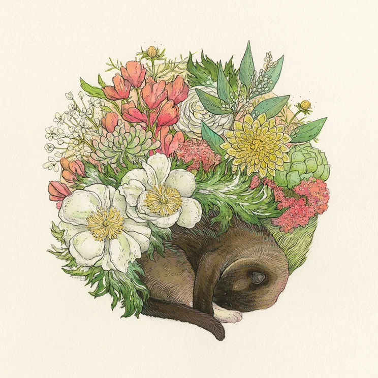 Cat Nap by Nicole Gustafsson