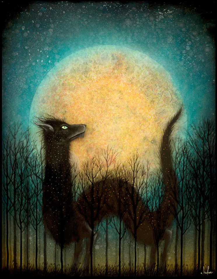 The Feral Moon Rises by Andy Kehoe