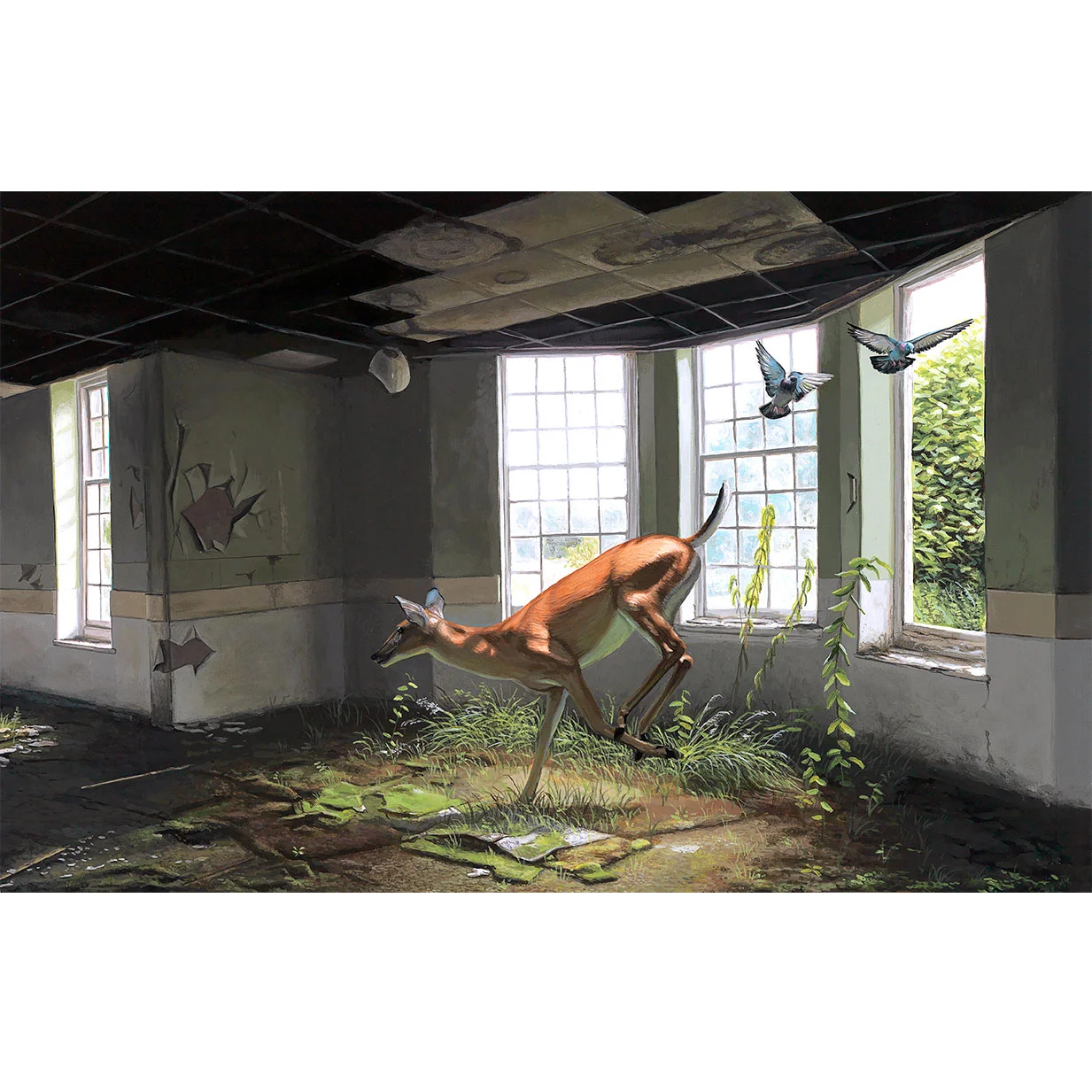 afternoon_a.jpg