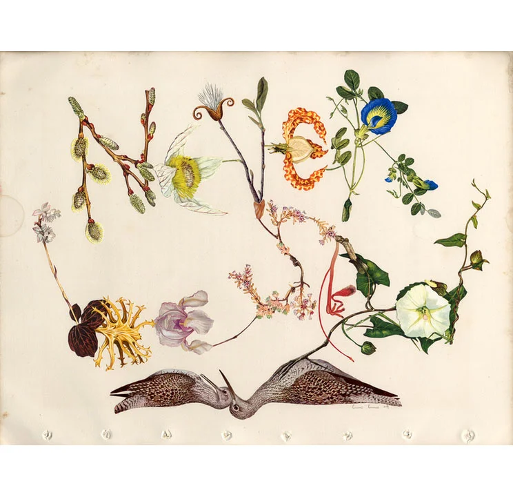 "Never Be Sad" by Alexis Anne Mackenzie