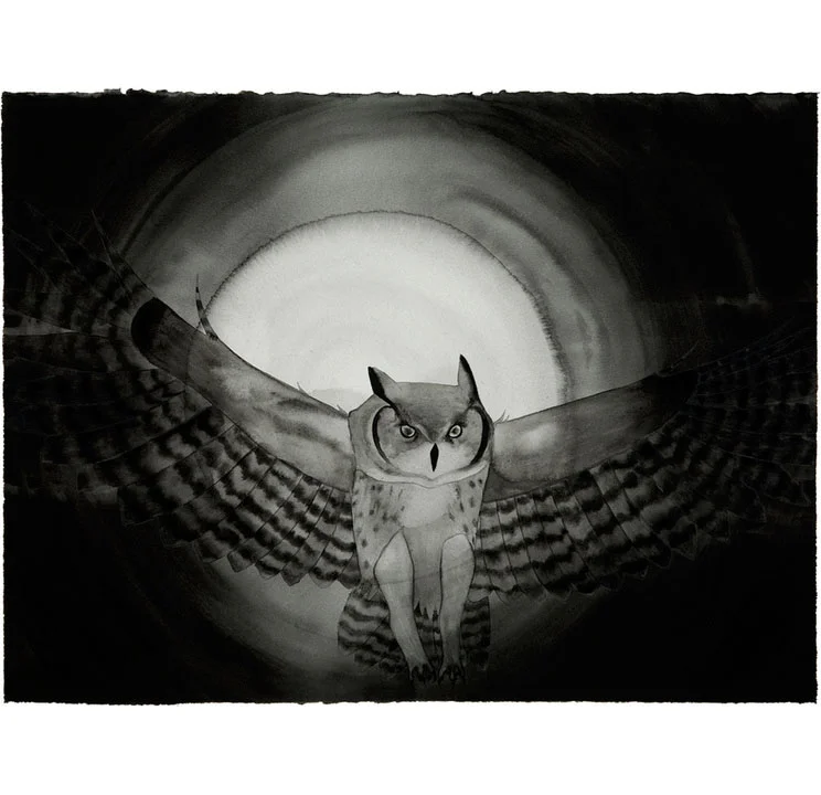 "BOB" by Marci Washington