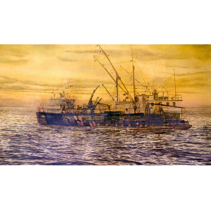 "58° 73'N 151° 01'W " by Martin Machado