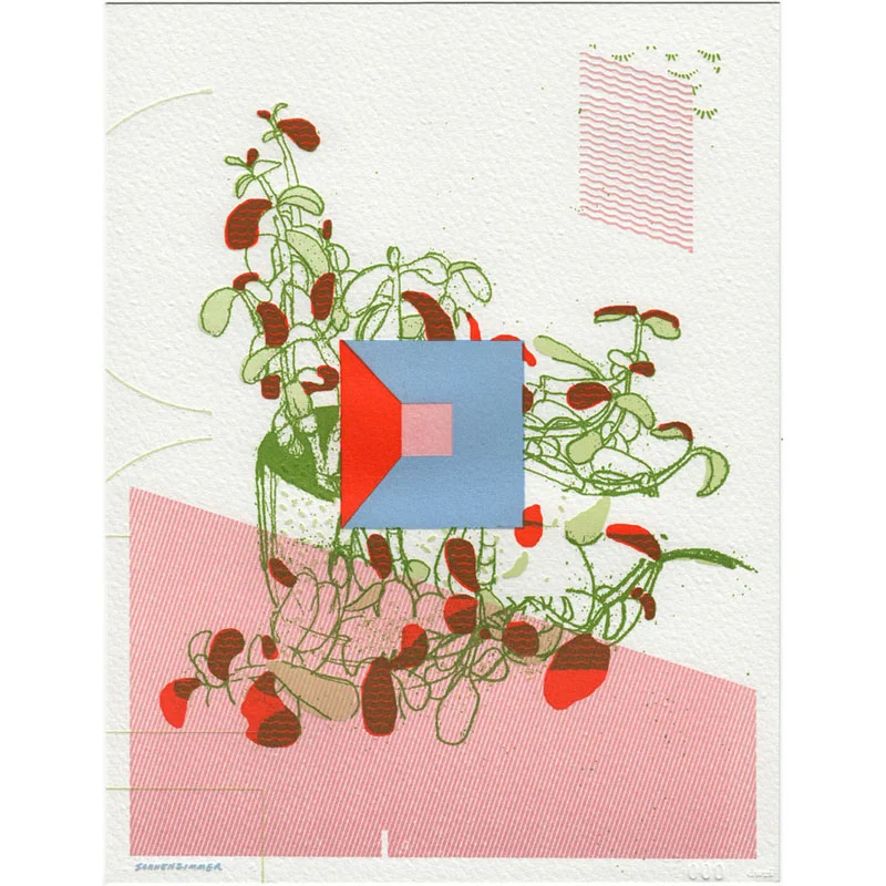 "Dissolution of a Plant" by Sonnenzimmer