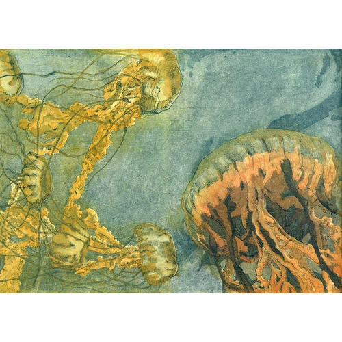 "Jellyfish! Jellyfish! Jellyfish!" by  Pippin Frisbie-Calder