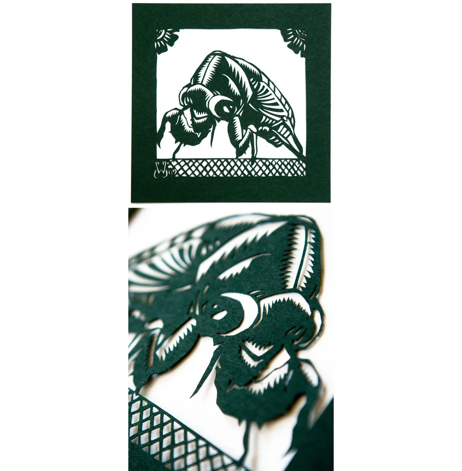 "Cicada" by William Schaff