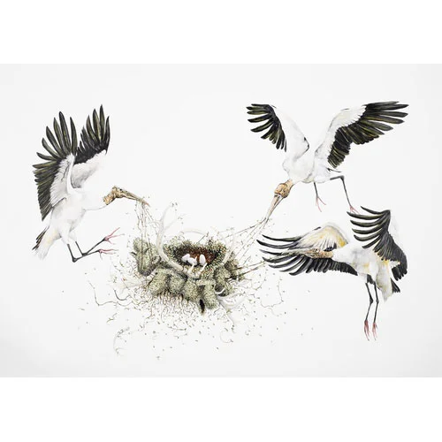 "Ceremony" by  Ryan McLennan