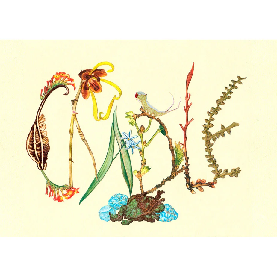 "Cradle" by Alexis Anne Mackenzie