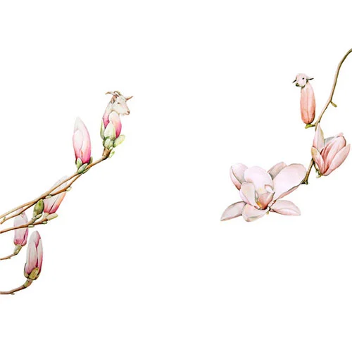 "Goat Magnolia 9 and 5" by  Amy Ross