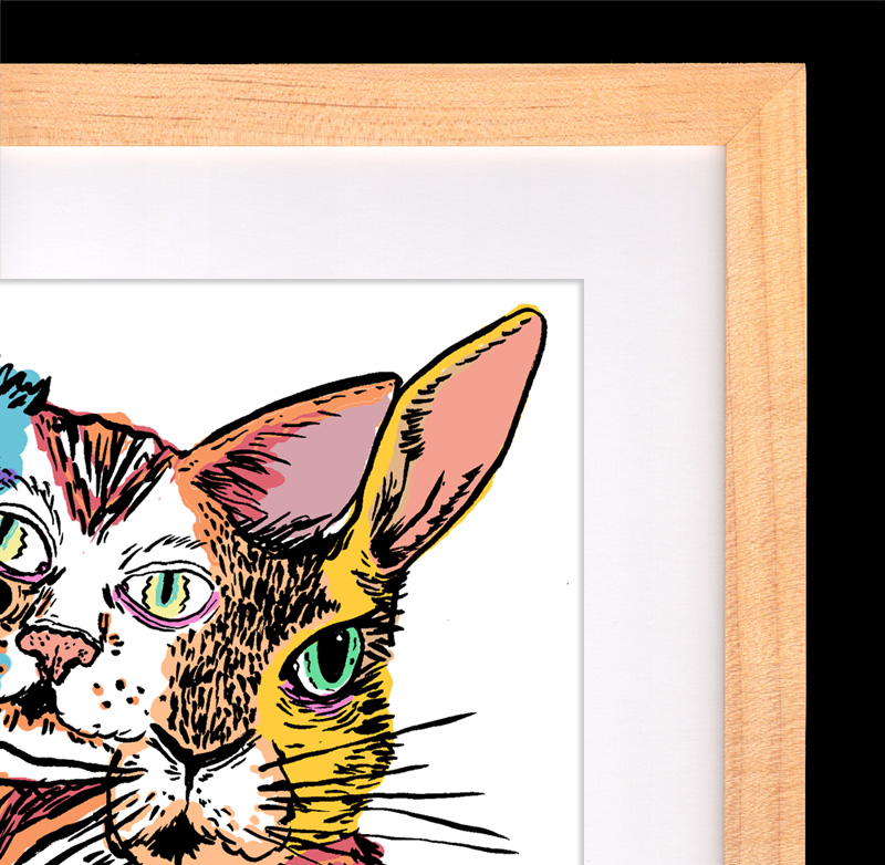 tiny kitty_frame.jpg