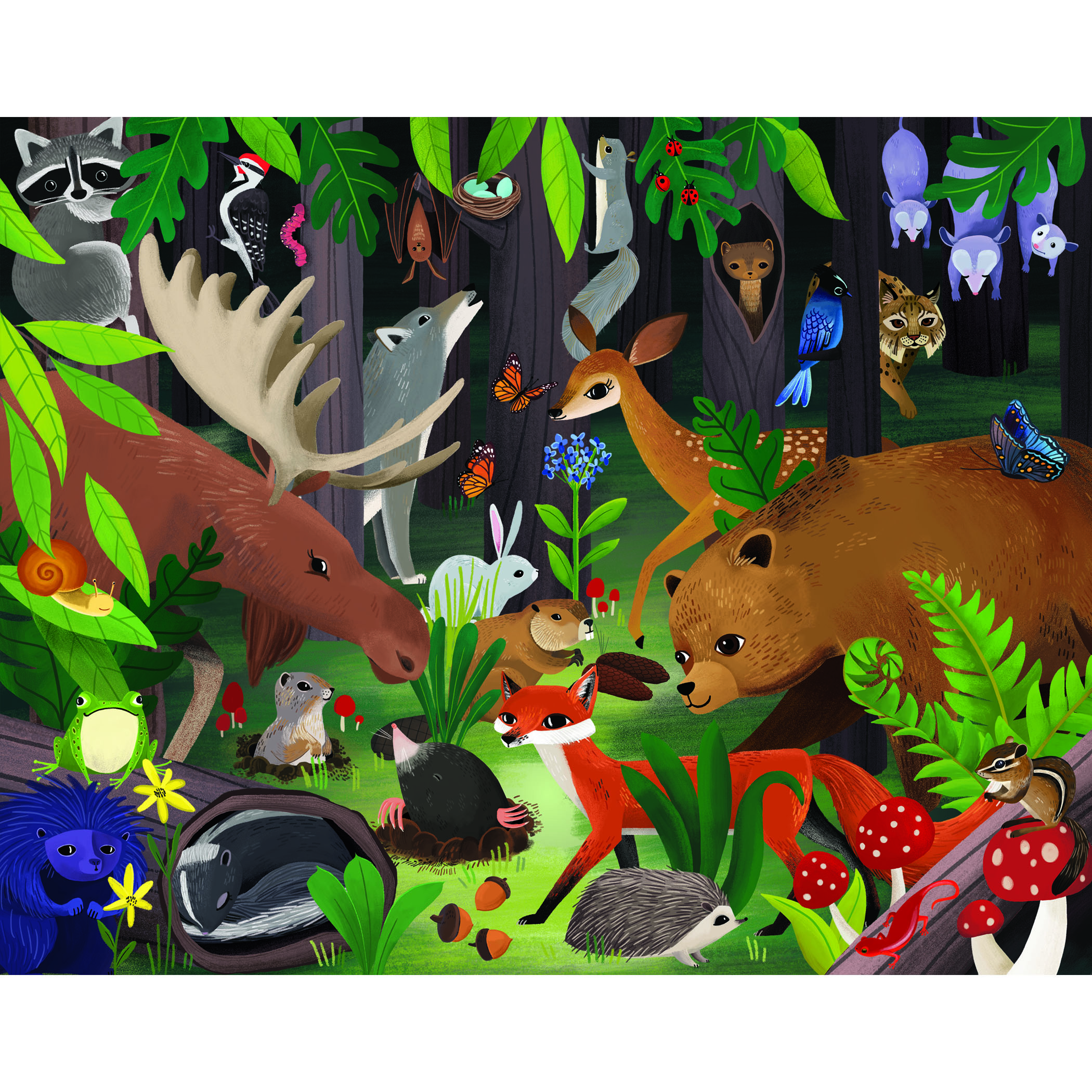 Forest_shop.jpg