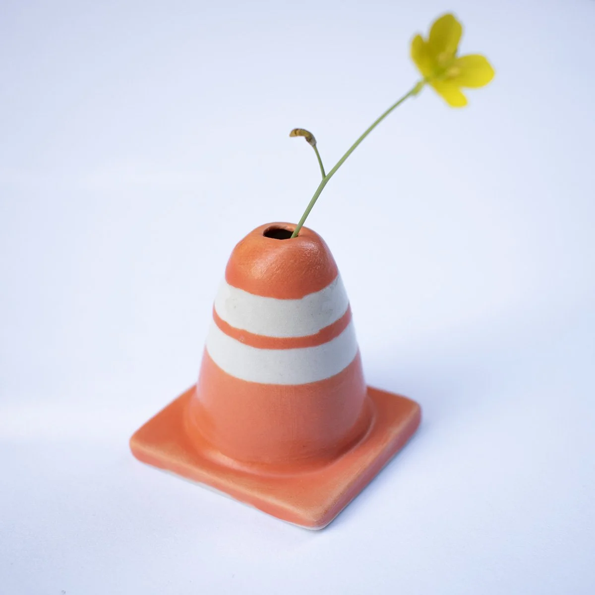 Little Cones by Abby Phillips