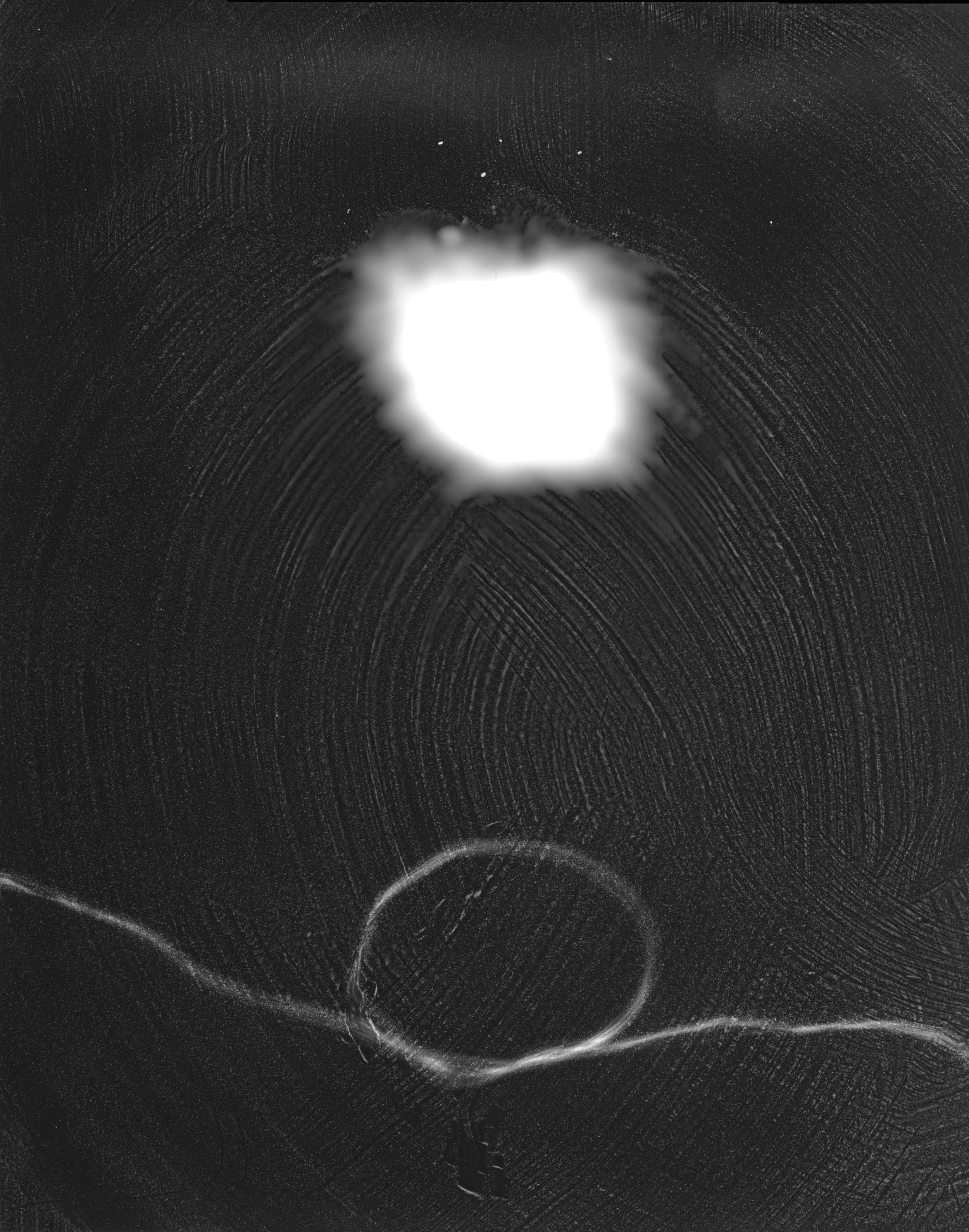 02_Photogram_19.jpg
