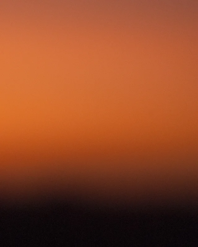 Krauss06Rothko.jpg