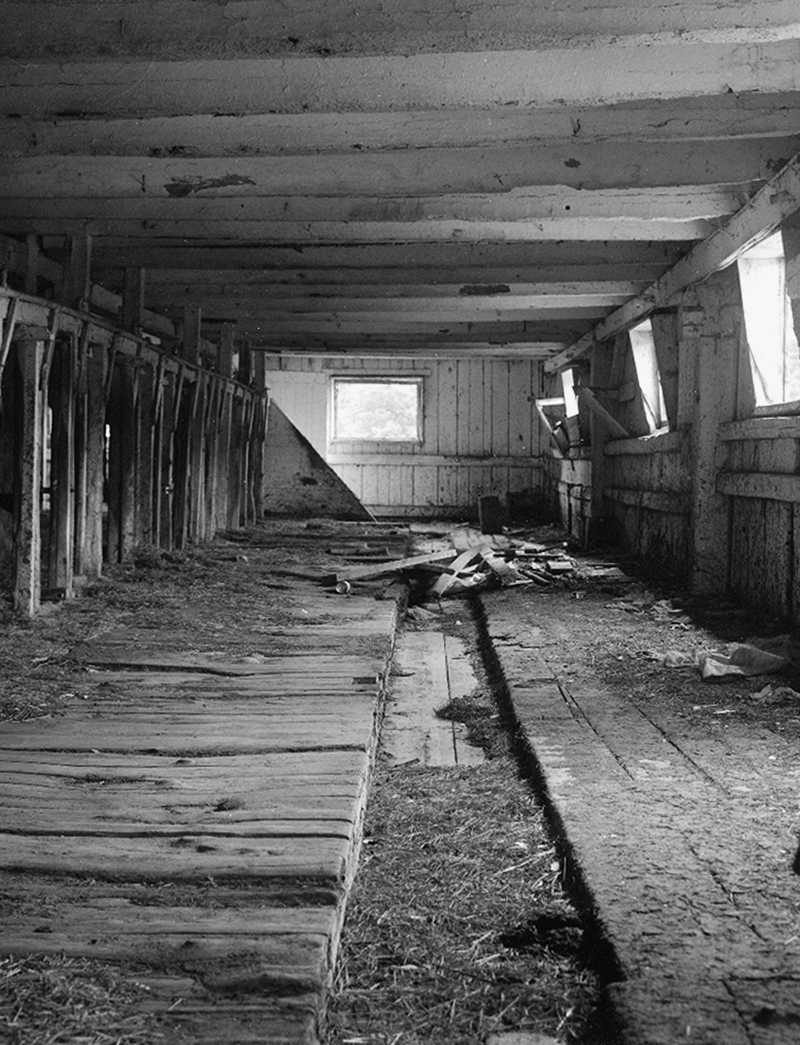 Forgotten Stalls-bwforWeb.jpg