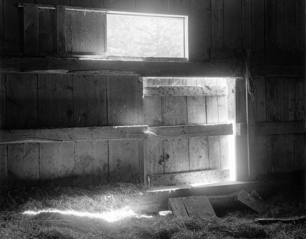 Surreptitious Light-BWforWeb.jpg