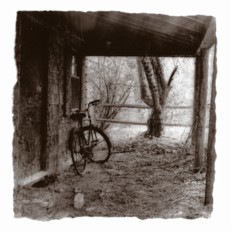 TM01-Bicycle at shed-2.jpg