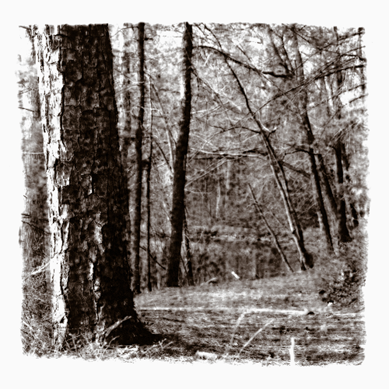 TM04-Fairyland path-2.jpg