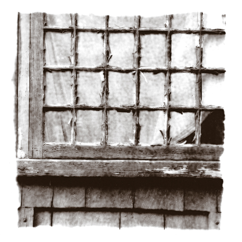 TM05-Window panes-2.jpg