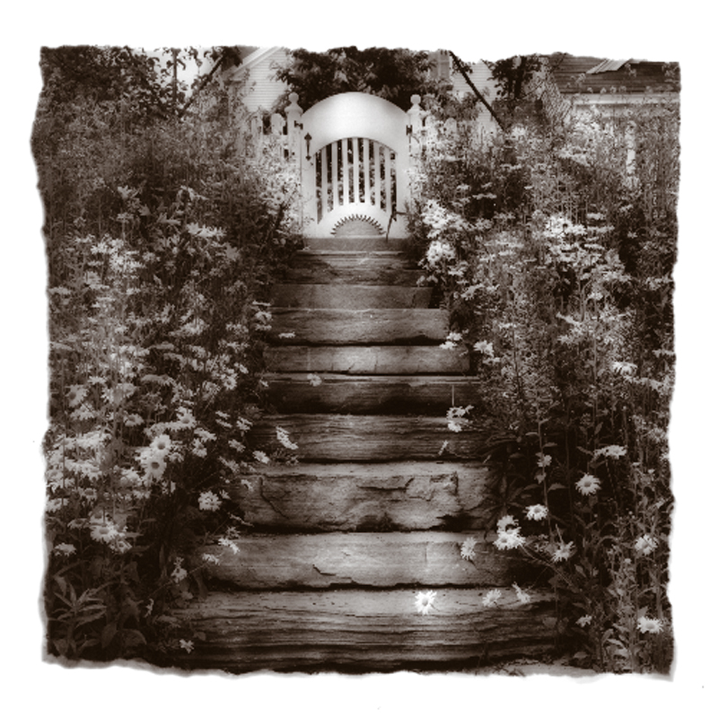 TM10-Garden gate-2.jpg